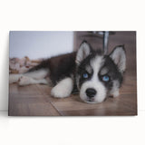 Stretched canvas wall art showcasing a vibrant design of various dog breeds in a whimsical, colorful style, perfect for animal lovers and home decor enthusiasts.