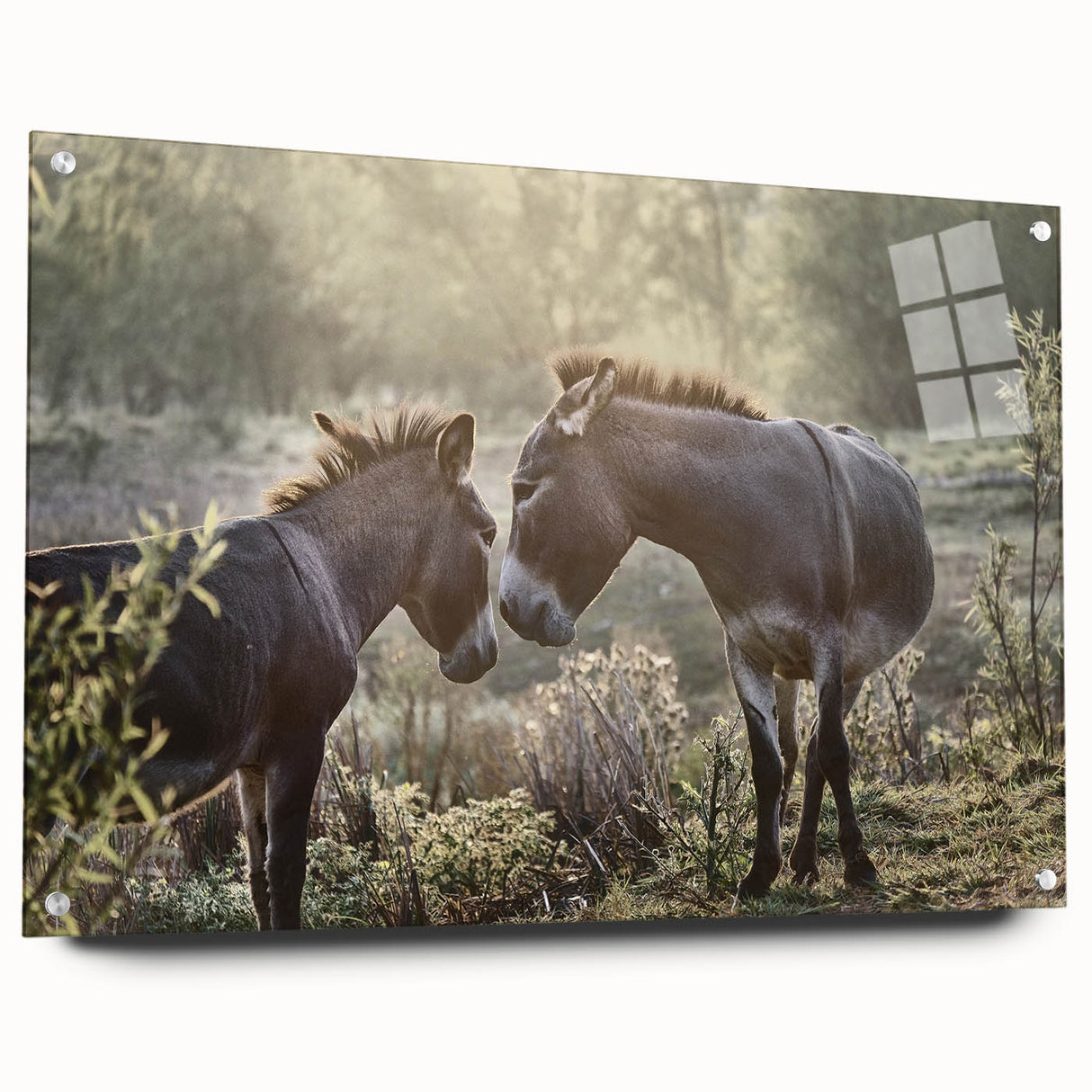 Acrylic wall art depicting a whimsical donkey design, showcasing vibrant colors and intricate details, ideal for animal lovers and home decor enthusiasts. The piece is displayed in a side view, highlighting its modern aesthetic and unique craftsmanship, perfect for adding a playful touch to any space.