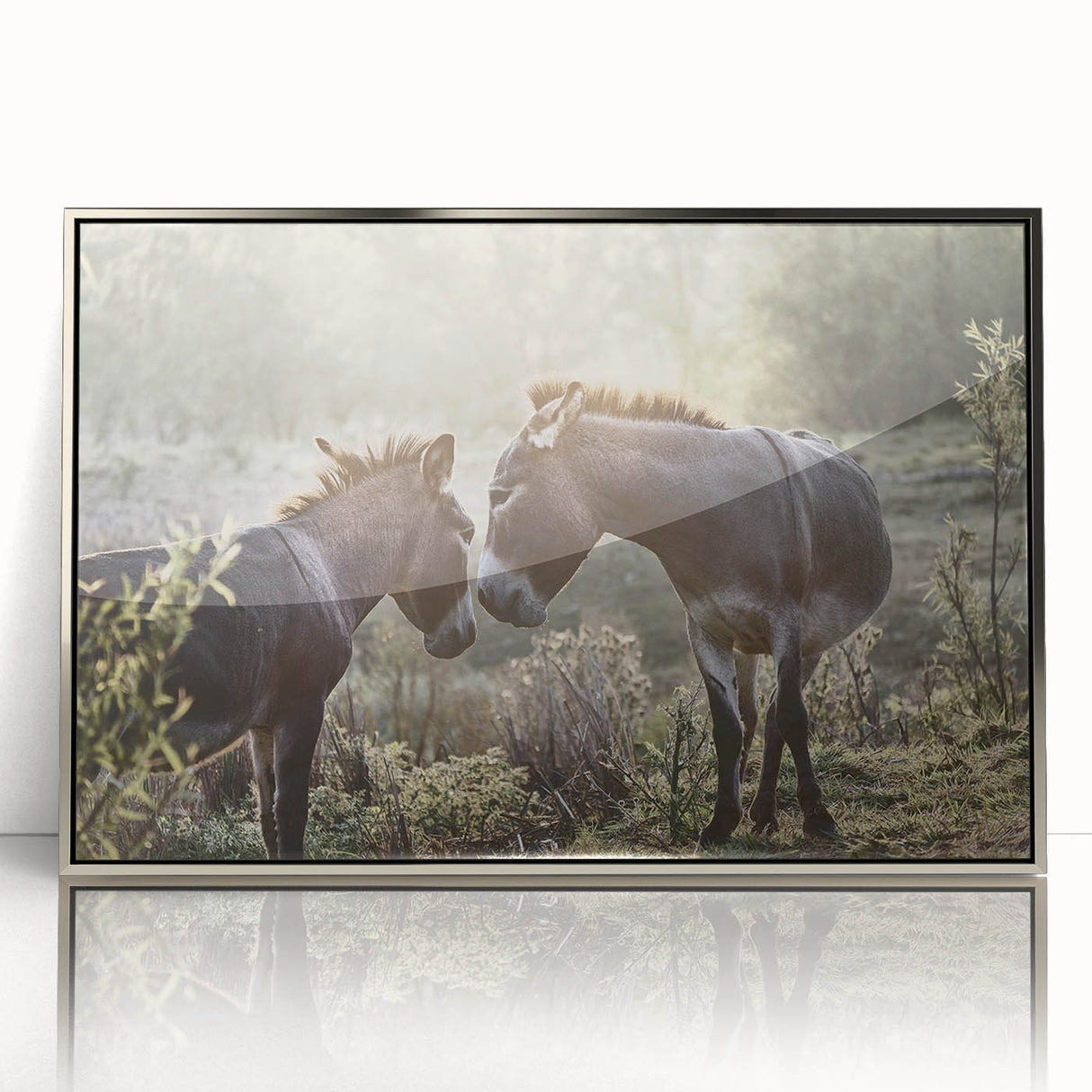 Framed wall art showcasing a stylish donkey design in a sleek silver frame, perfect for enhancing modern decor. Ideal for animal lovers and art enthusiasts.