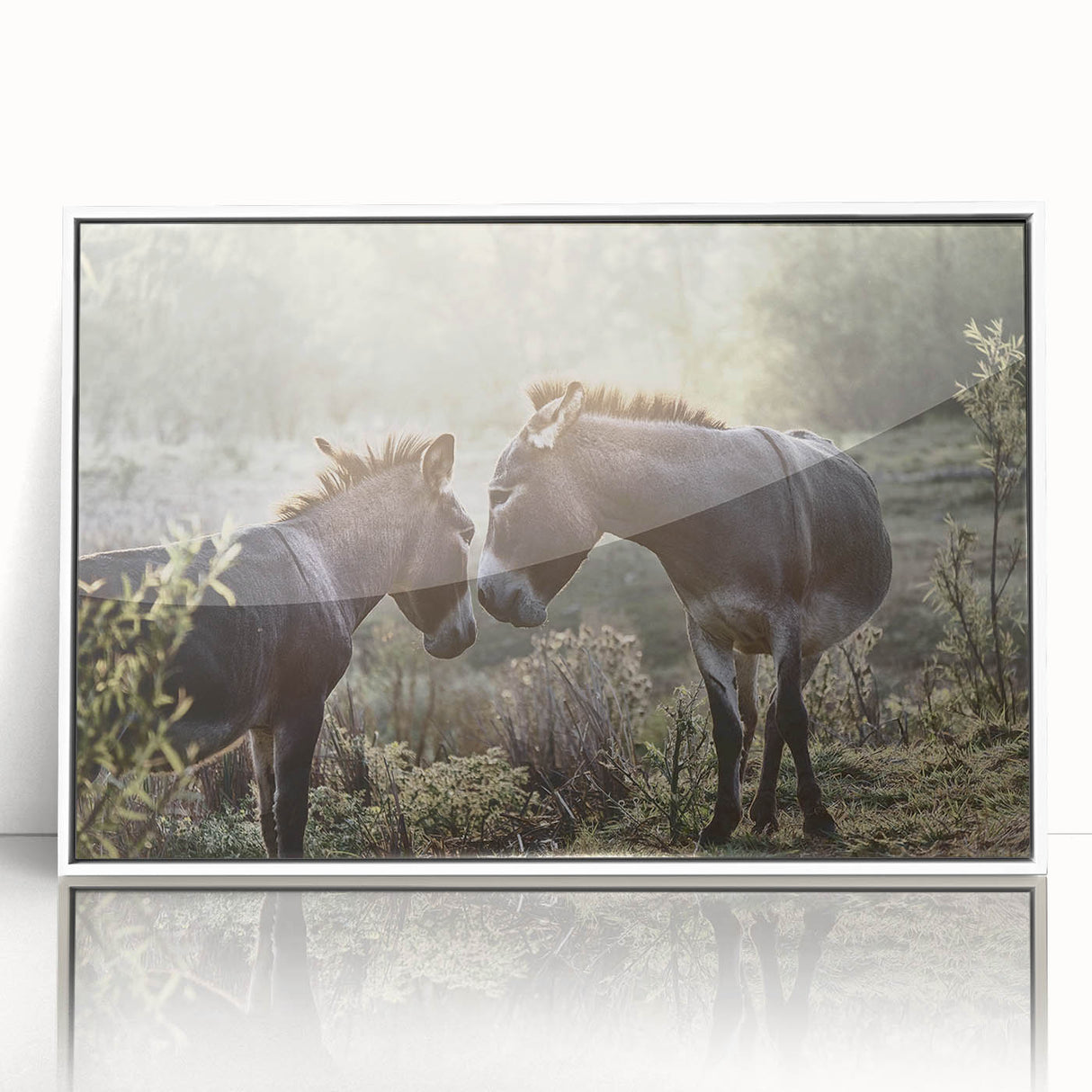 Framed wall art featuring a colorful donkey design from the "Animals A Wild Life" collection, set against a sleek white background, perfect for modern home decor.