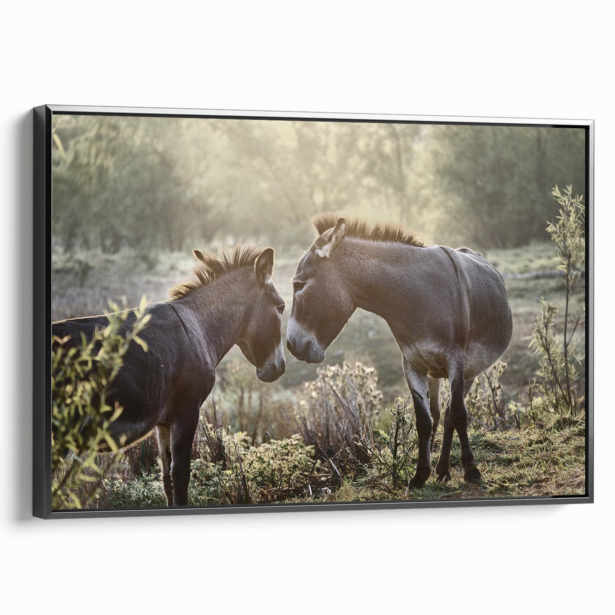 Framed wall art featuring a side view of a black donkey design, showcasing intricate details and textures, ideal for animal-themed home decor collections.