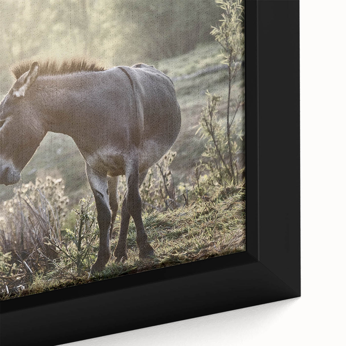 Close-up of a framed canvas wall art featuring a donkey design, showcasing intricate details and vibrant colors, perfect for animal lovers and home decor enthusiasts.