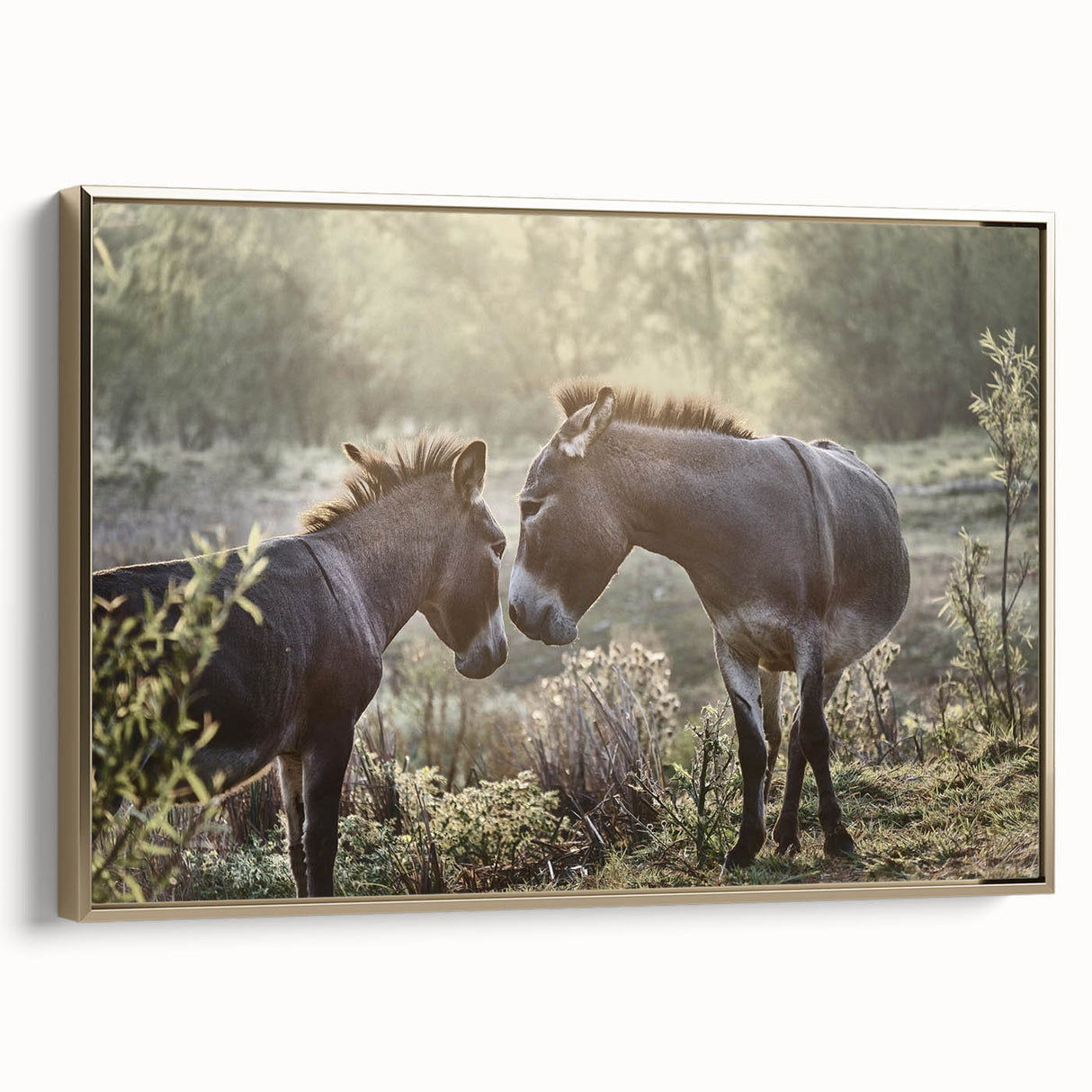 Framed canvas wall art featuring a side view of a donkey design with gold accents, ideal for adding a touch of wildlife elegance to home decor.