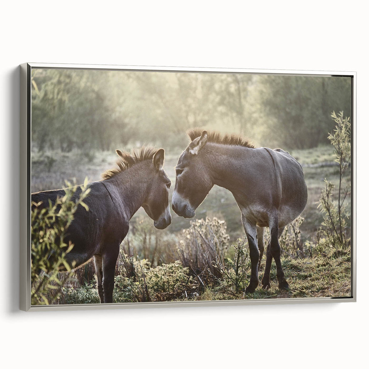 Framed canvas artwork of a donkey, showcasing a striking silver side view design, ideal for animal lovers and home decor enthusiasts. Perfect for adding a unique touch to any space, this piece captures the essence of wildlife artistry.