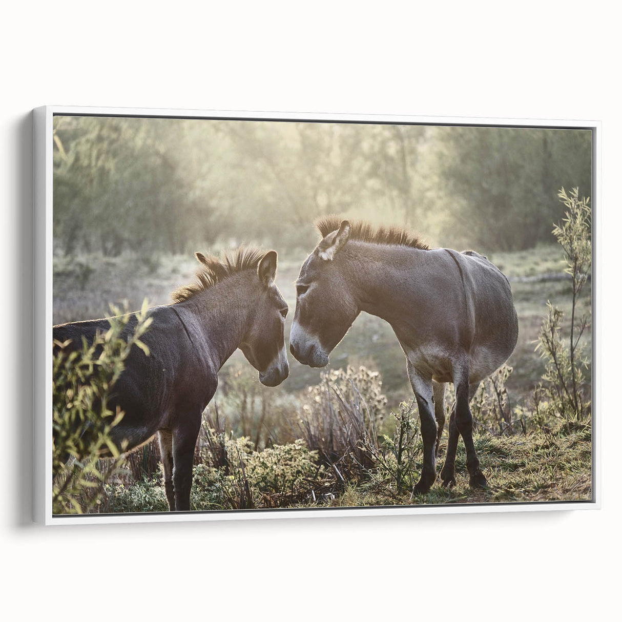 Framed canvas wall art showcasing a stylish donkey design against a white background, ideal for animal lovers and modern home decor enthusiasts.