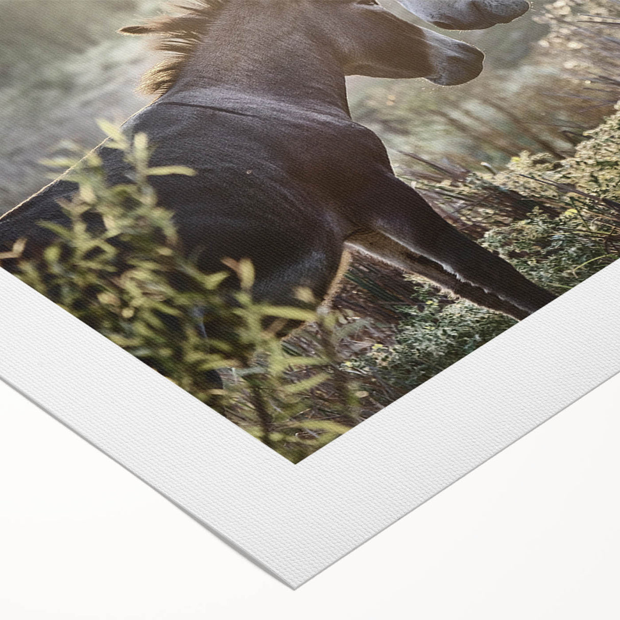 Rolled canvas artwork showcasing a vibrant donkey design from the Animals A Wild Life collection, featuring earthy colors and intricate detailing, perfect for animal lovers.