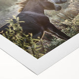 Rolled canvas artwork showcasing a vibrant donkey design from the Animals A Wild Life collection, featuring earthy colors and intricate detailing, perfect for animal lovers.