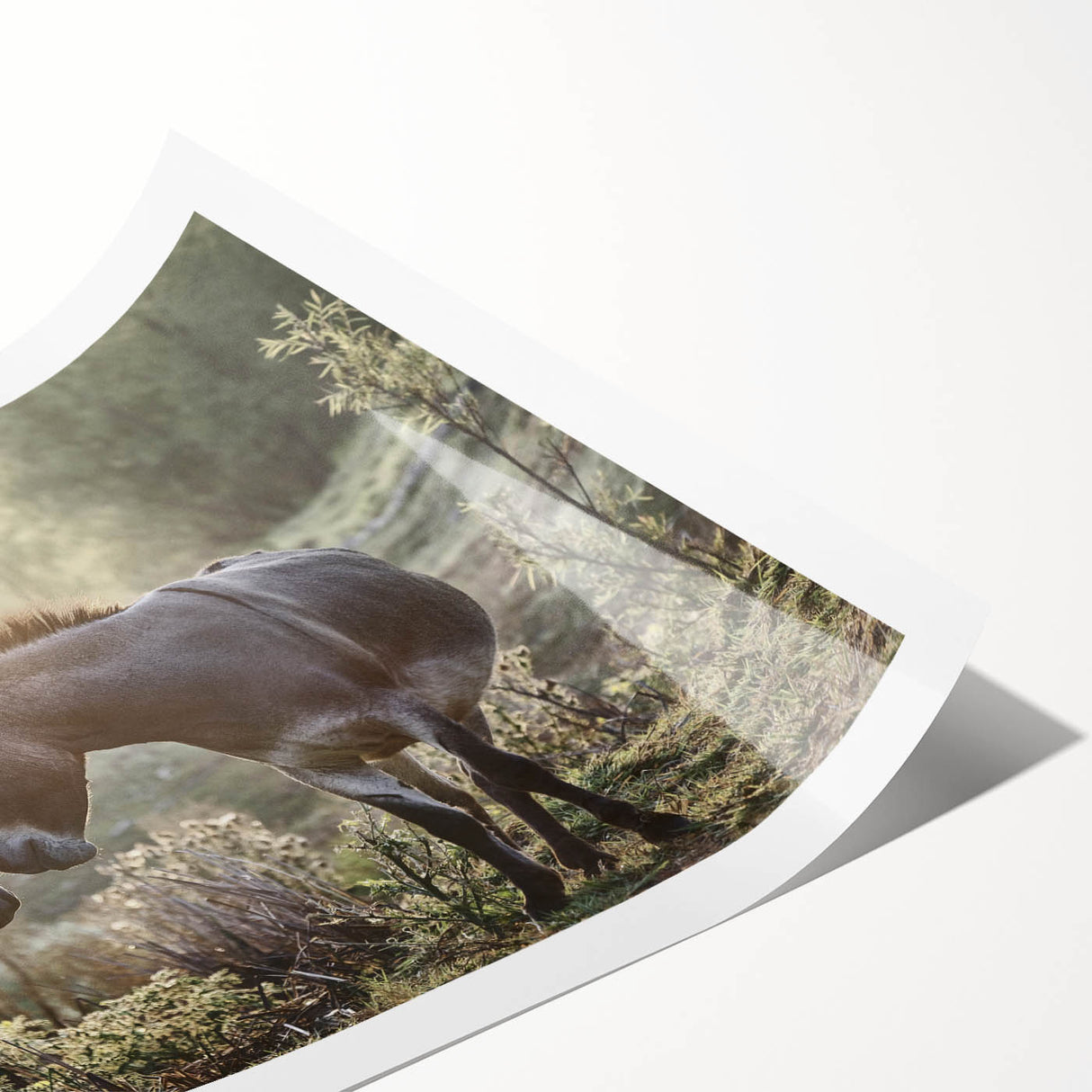Rolled print showcasing a whimsical donkey design in vibrant colors, perfect for animal lovers. Ideal for home decor or nursery art, highlighting playful charm.