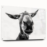 Side view of a donkey-themed wall art piece from the "Animals: A Wild Life" collection, showcasing vibrant acrylic glass with pins, perfect for animal lovers' decor.