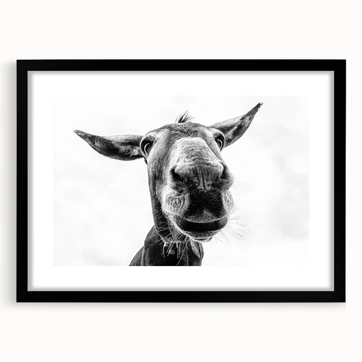 Framed wall art featuring a whimsical donkey design in black and white, set against a sleek black mat, perfect for animal lovers and home decor enthusiasts.