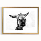 Framed wall art featuring a whimsical donkey design in gold accents, set against a neutral background, perfect for animal lovers and home decor enthusiasts.