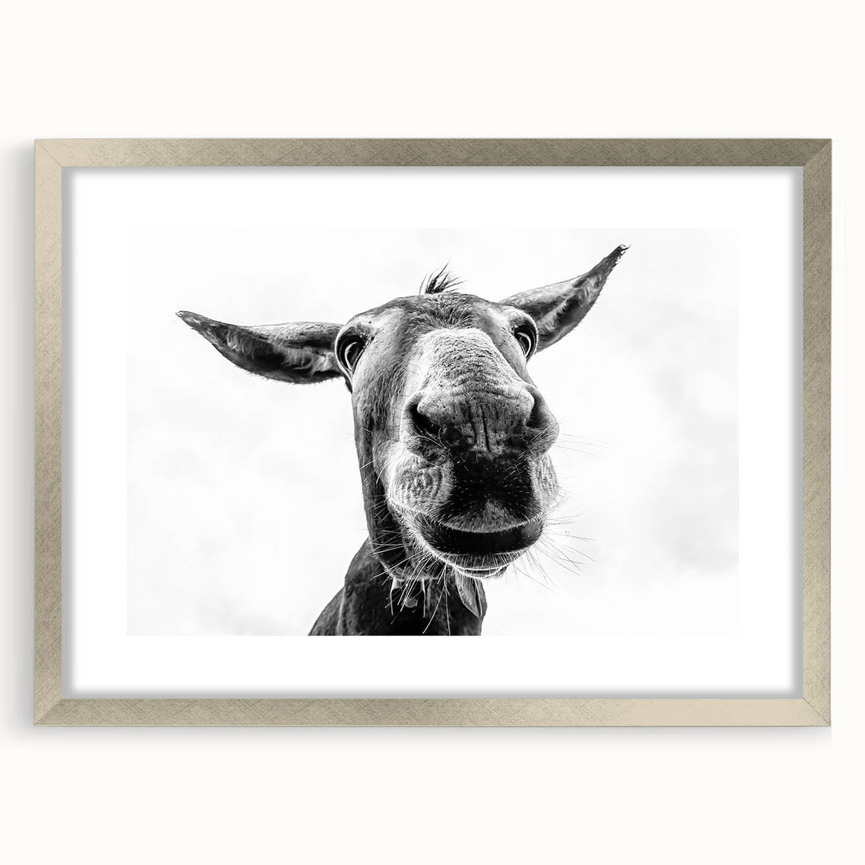 Framed wall art featuring a whimsical donkey design from the "Animals of the Wild" collection, set in a sleek silver frame with a mat, perfect for home decor.