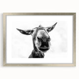 Framed wall art featuring a whimsical donkey design from the "Animals of the Wild" collection, set in a sleek silver frame with a mat, perfect for home decor.