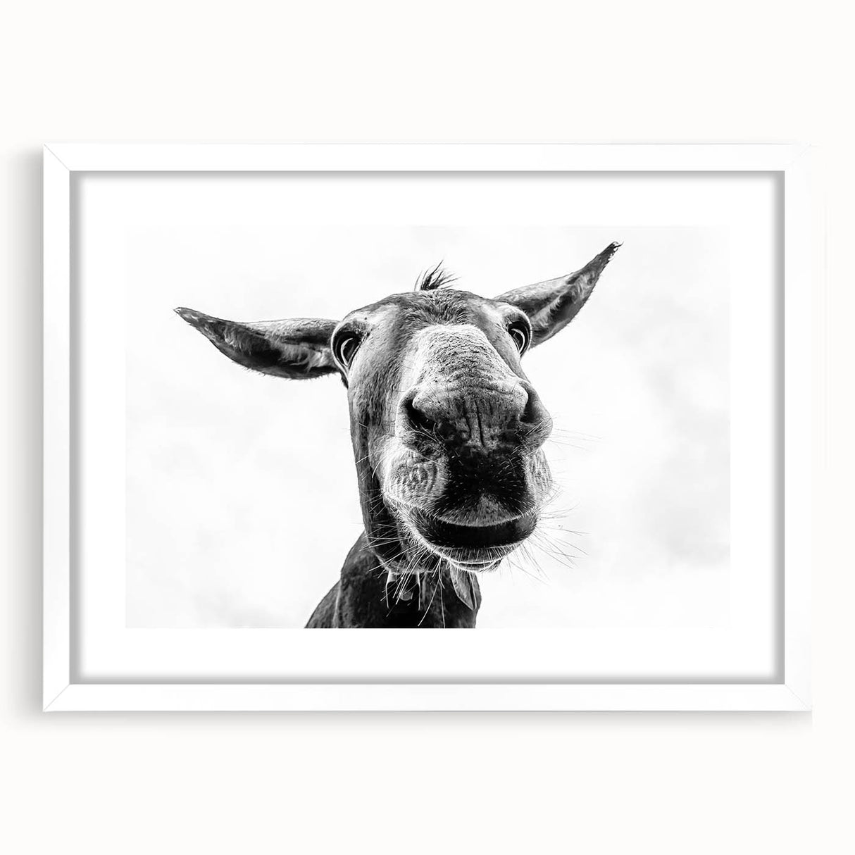 Framed wall art showcasing a whimsical donkey design in a white mat, perfect for animal lovers and home decor enthusiasts, adding charm to any room.
