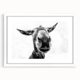 Framed wall art showcasing a whimsical donkey design in a white mat, perfect for animal lovers and home decor enthusiasts, adding charm to any room.