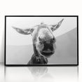 Framed wall art featuring a striking donkey design from the Animals A Wild Life collection, showcasing intricate details on a sleek black frame, perfect for modern decor.