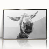 Framed wall art showcasing a striking donkey design with intricate details and a silver acrylic frame, perfect for adding a touch of wildlife elegance to any room.