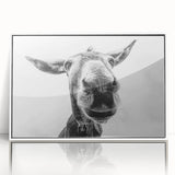 Framed acrylic wall art featuring a whimsical donkey design in a white frame, showcasing vibrant colors and playful details, ideal for animal lovers and home decor enthusiasts.