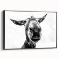 Framed canvas wall art featuring a striking black silhouette of a donkey against a colorful, textured background, perfect for animal lovers and home decor enthusiasts.