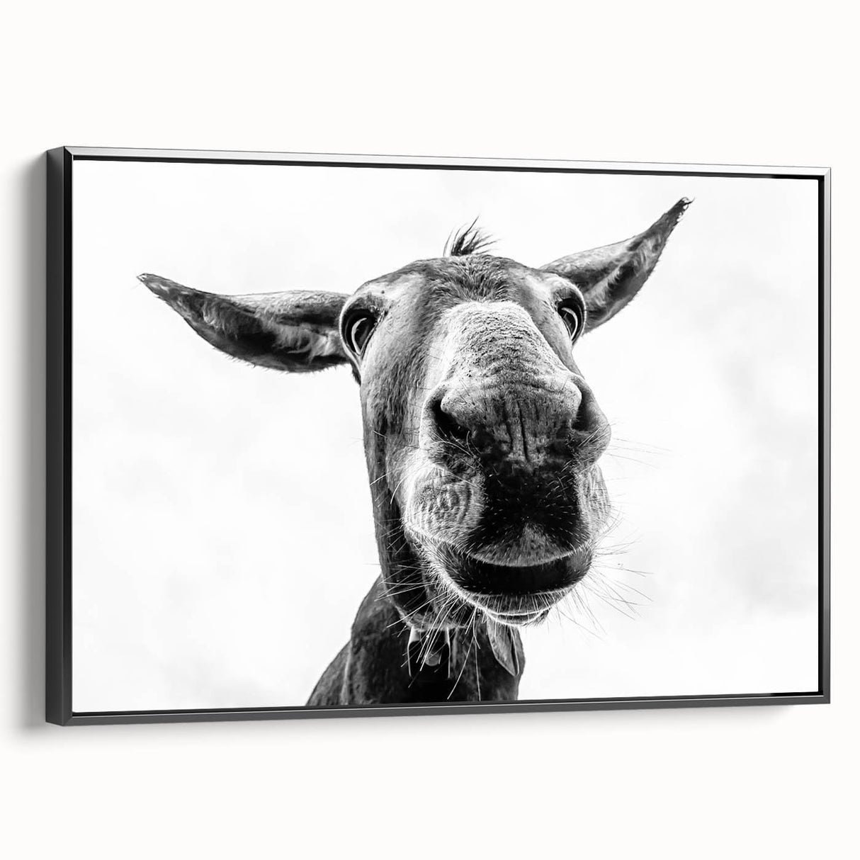 Framed canvas wall art featuring a striking black silhouette of a donkey against a colorful, textured background, perfect for animal lovers and home decor enthusiasts.