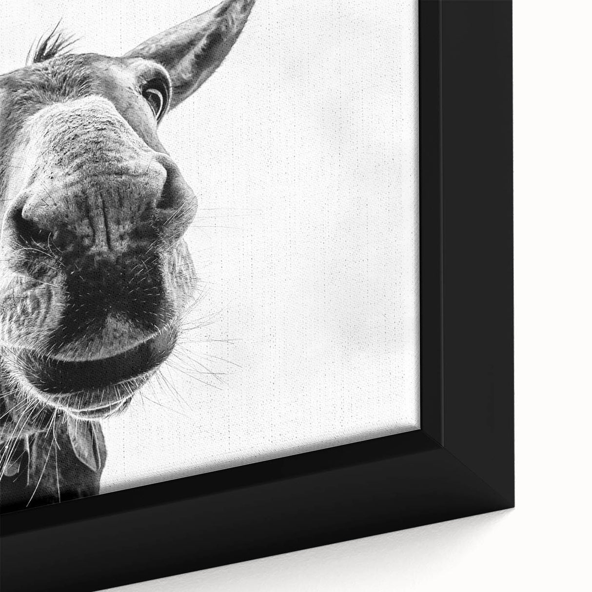 Close-up of a framed canvas wall art featuring a whimsical donkey design, showcasing vibrant colors and intricate details, perfect for animal lovers’ decor.