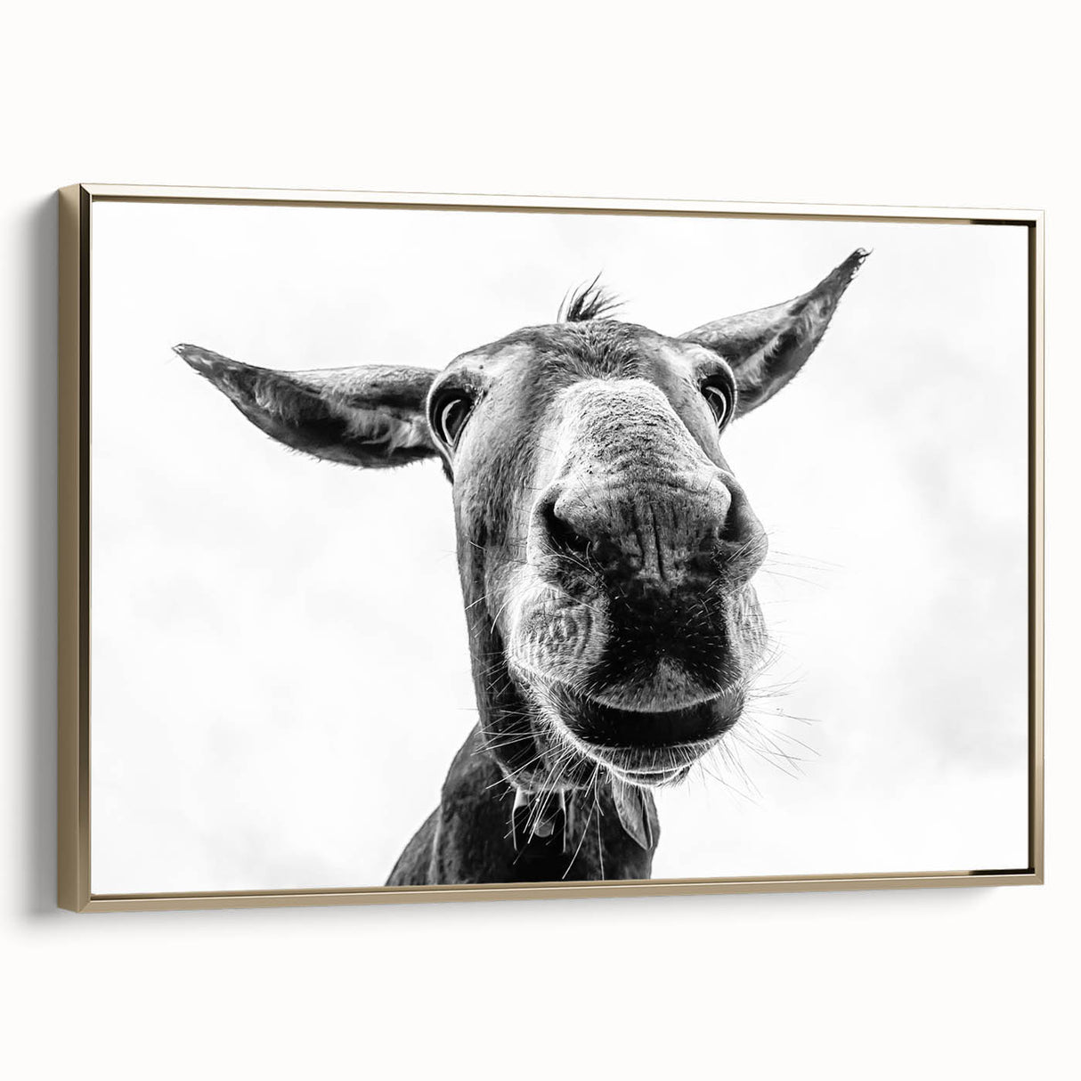 Framed canvas wall art featuring a stylized donkey design in gold tones, set against a light backdrop, perfect for adding a touch of whimsy to home decor.