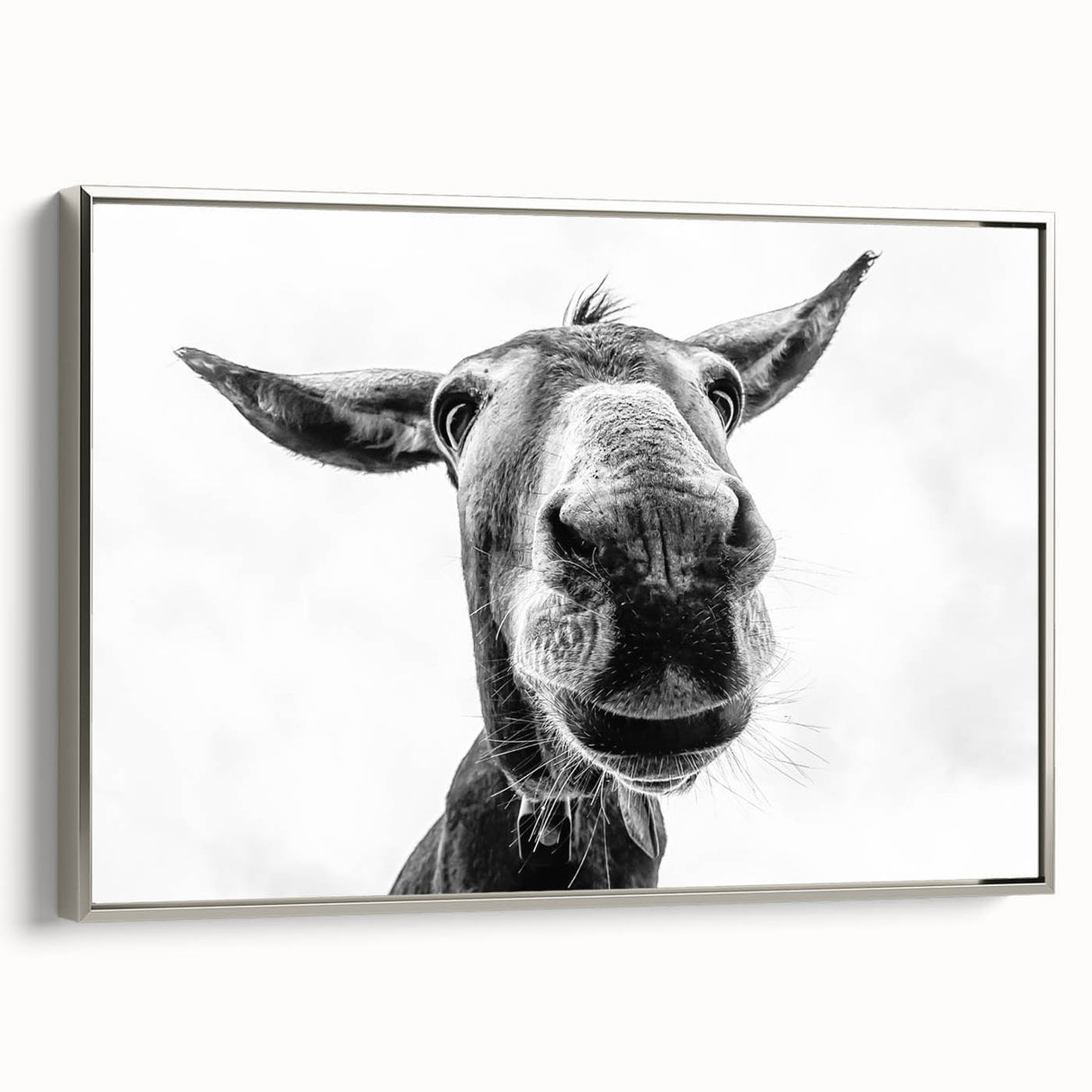 Silver-framed canvas wall art featuring a stylized donkey design, set against a textured background, perfect for adding a touch of modern animal decor to any room.