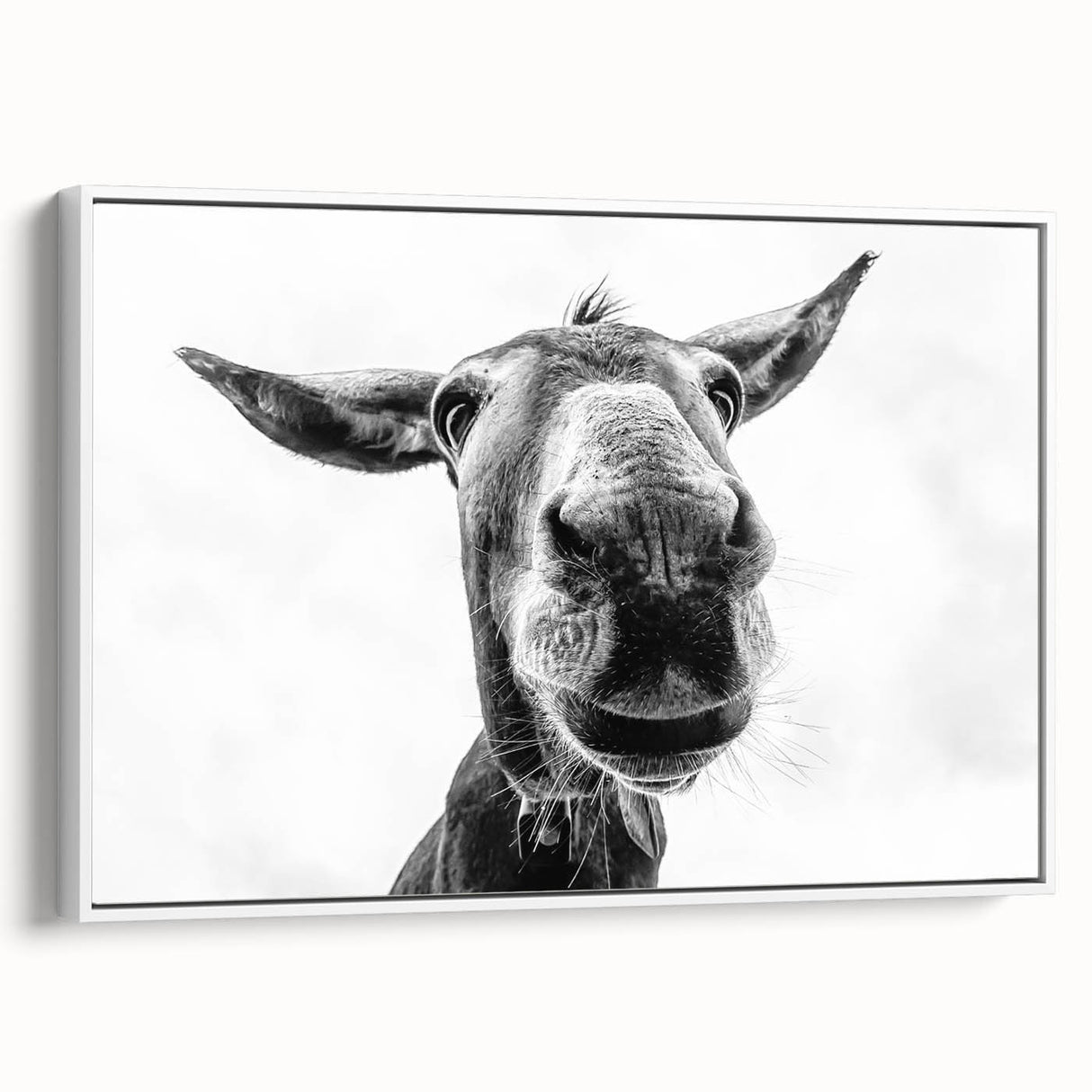 Framed canvas wall art showcasing a side view of a donkey design, featuring intricate details and a clean white frame, perfect for animal lovers' home decor.