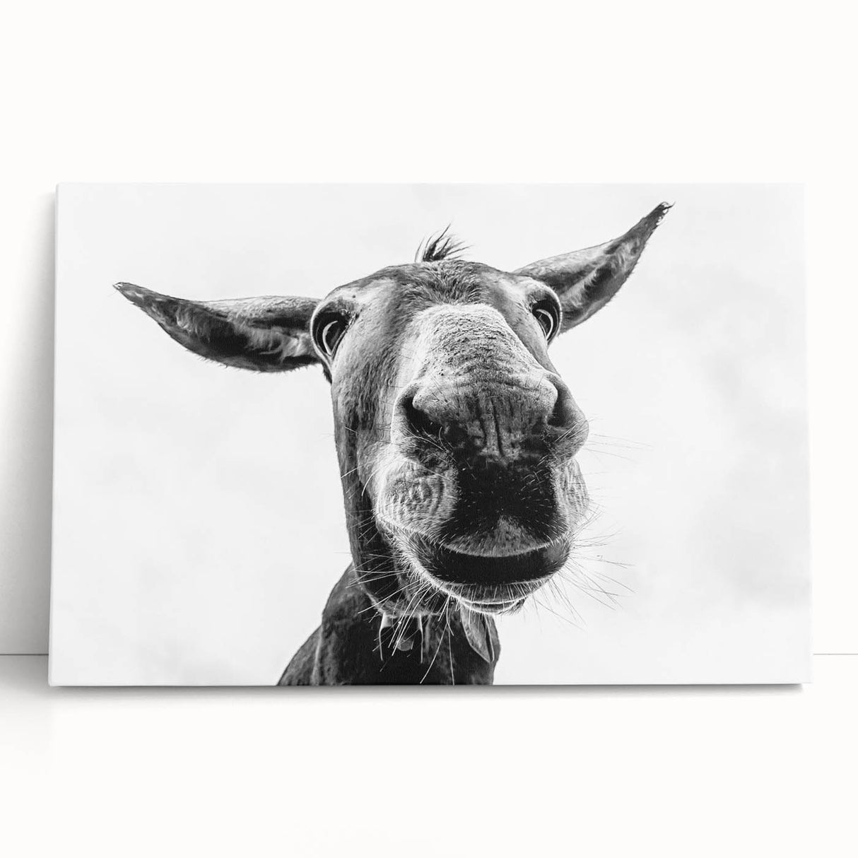 A vibrant donkey wall art design on stretched canvas, showcasing intricate details and warm colors, perfect for animal lovers' home decor.