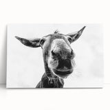 A vibrant donkey wall art design on stretched canvas, showcasing intricate details and warm colors, perfect for animal lovers' home decor.