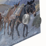 Close-up view of a vibrant acrylic glass wall art piece featuring a donkey design, showcasing intricate details and colors, ideal for animal lovers and home decor enthusiasts.