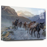 Acrylic glass wall art featuring a side view of a donkey design from the Animals of the Wild collection, showcasing vibrant colors and intricate details, perfect for animal lovers and home decor enthusiasts.