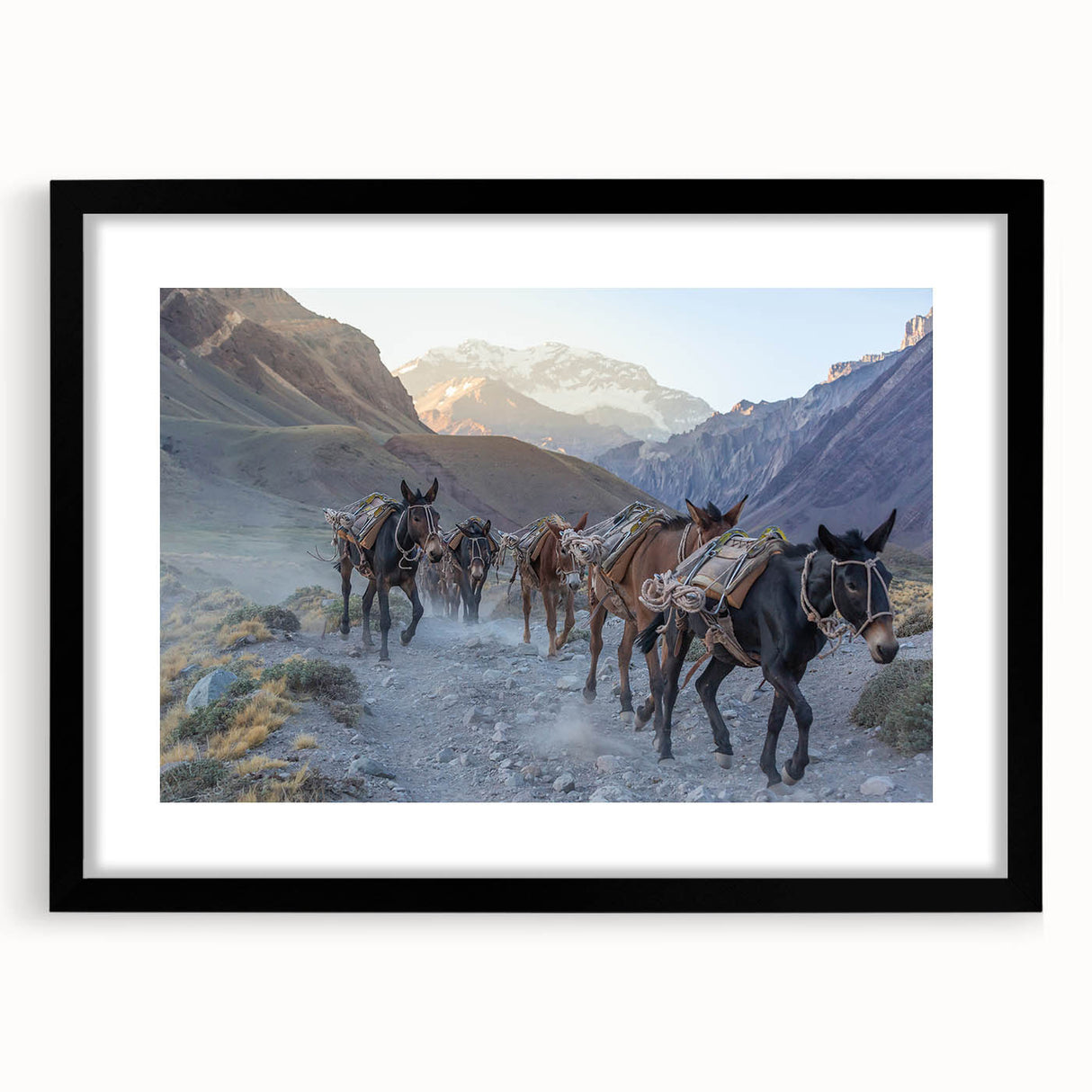 Framed wall art collection featuring a striking donkey design in a black mat, showcasing rich colors and intricate details, perfect for animal lovers and decor enthusiasts.