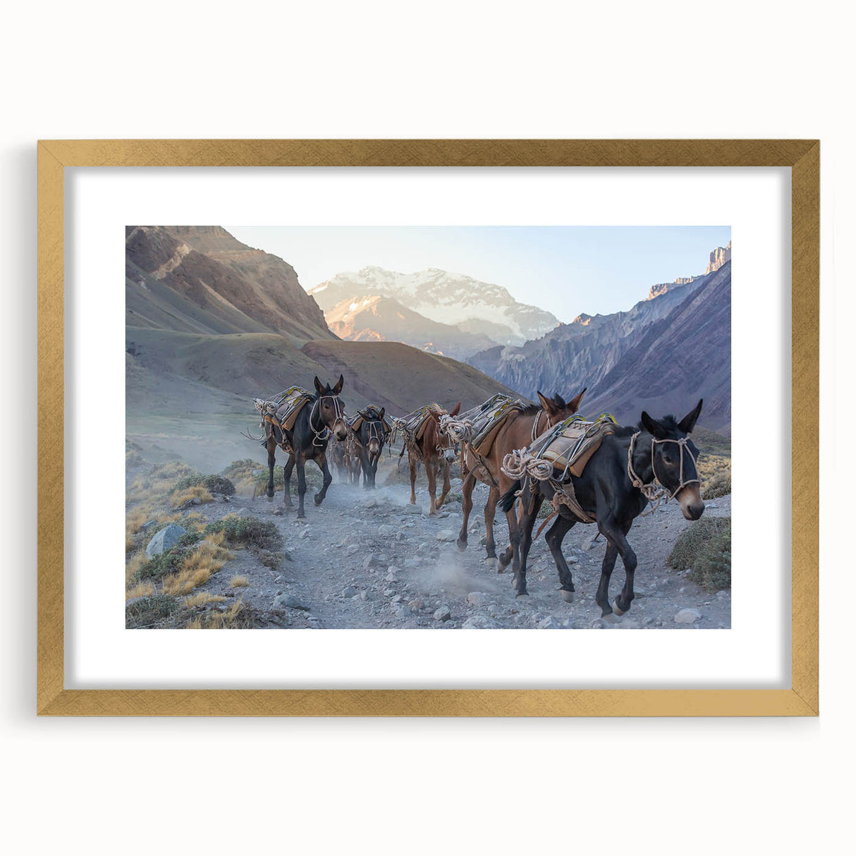 Framed wall art featuring a whimsical donkey design with a gold mat, set against a white backdrop, ideal for adding charm to home decor. Perfect for animal lovers.