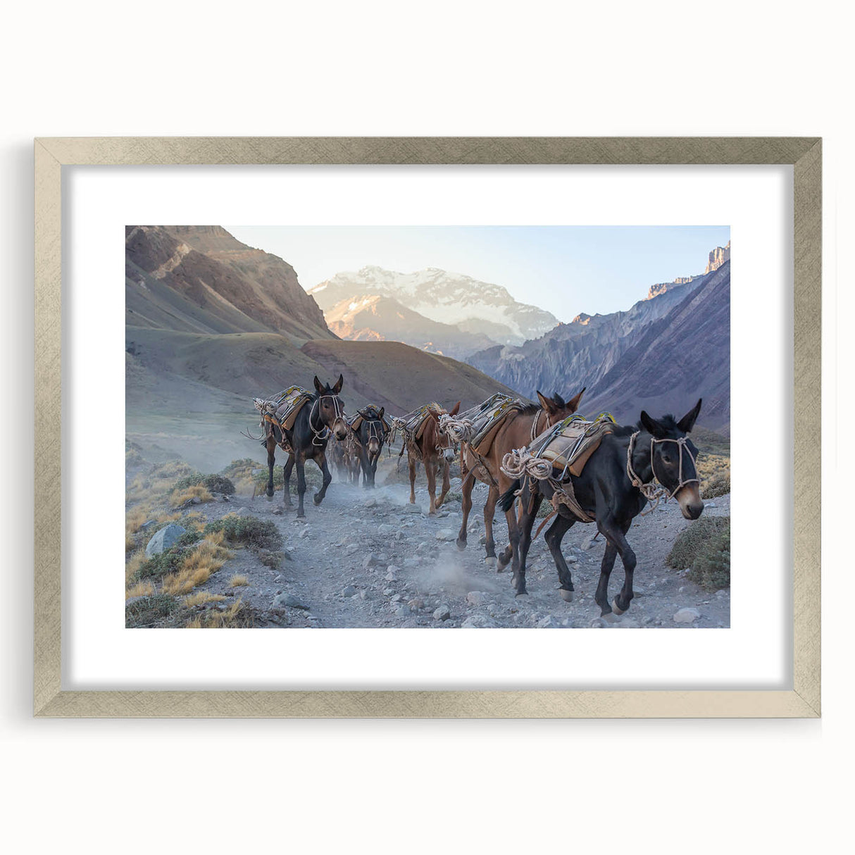 Framed wall art showcasing a silver mat with a whimsical donkey design, perfect for animal lovers and home decor enthusiasts, adding a playful touch to any room.