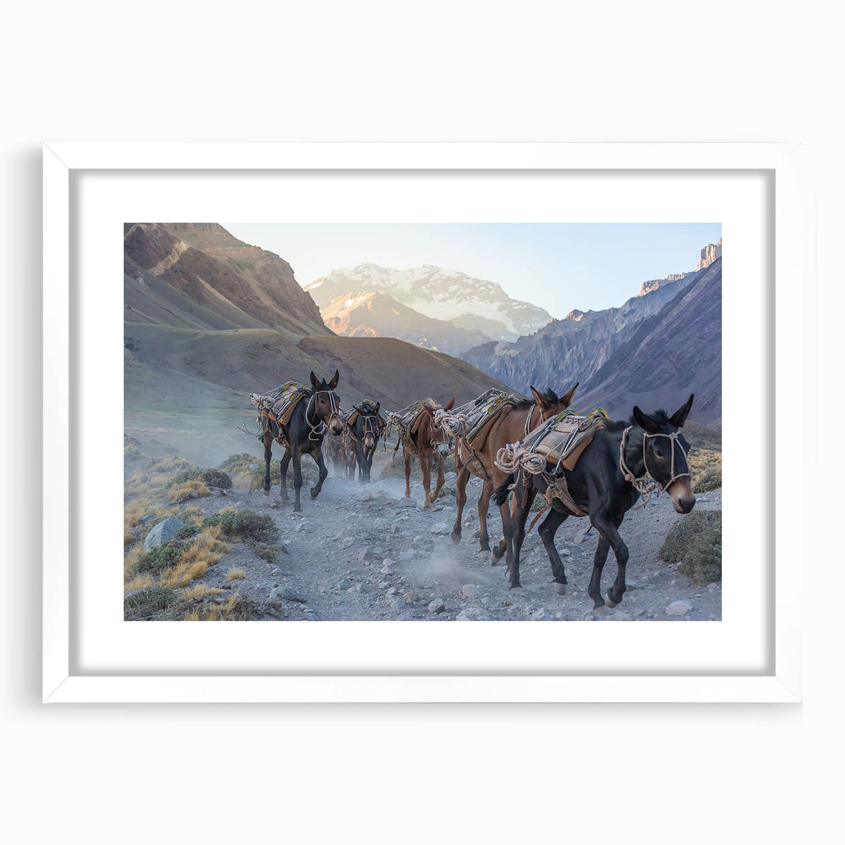 Framed wall art featuring a whimsical donkey design from the "Animals & Wildlife" collection, set against a white mat for an elegant presentation, perfect for animal lovers.