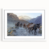 Framed wall art featuring a whimsical donkey design from the "Animals & Wildlife" collection, set against a white mat for an elegant presentation, perfect for animal lovers.