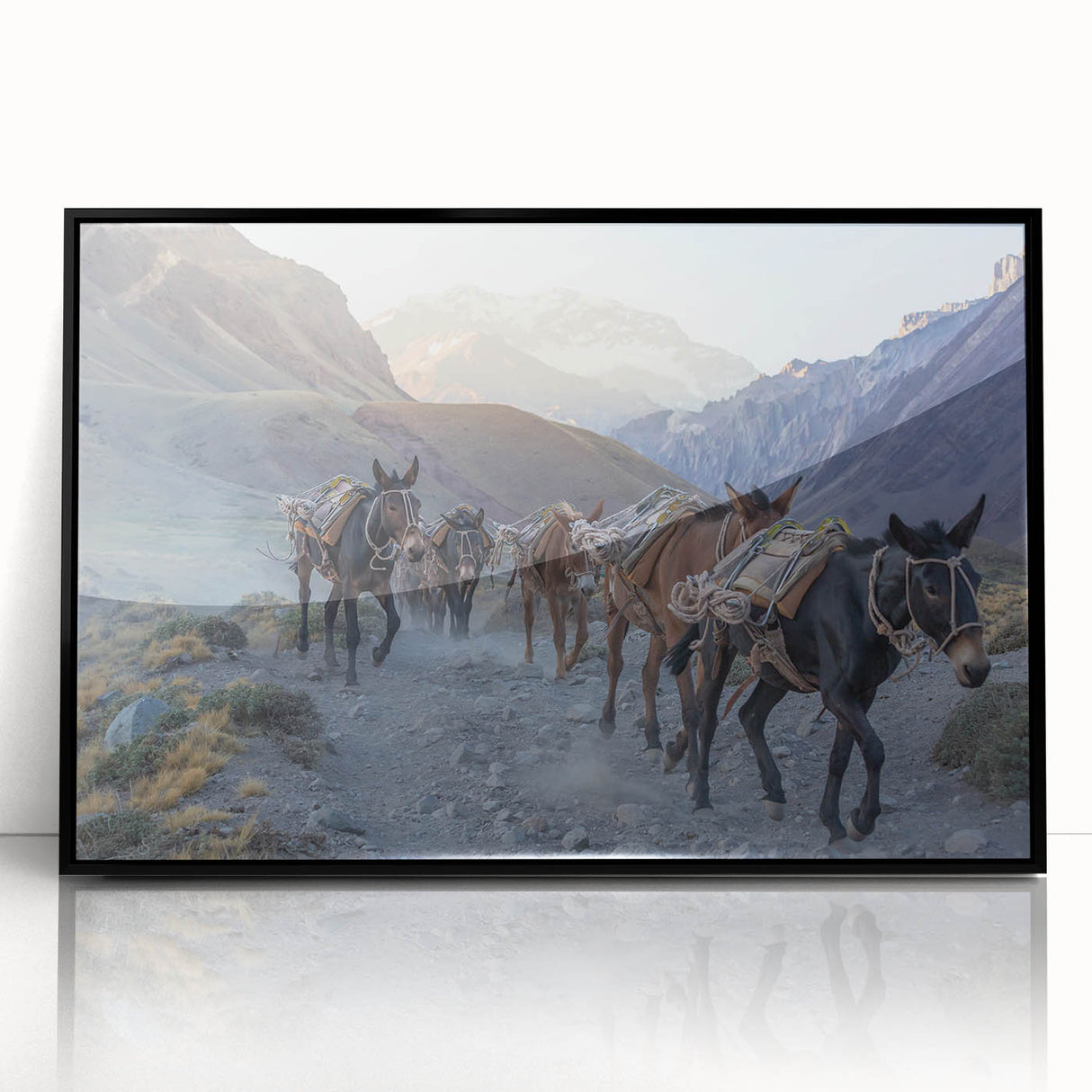 Framed wall art collection featuring a striking black donkey design, set in an acrylic frame, ideal for animal lovers and modern decor enthusiasts. This piece adds a unique touch to any interior space with its sleek presentation and captivating design.