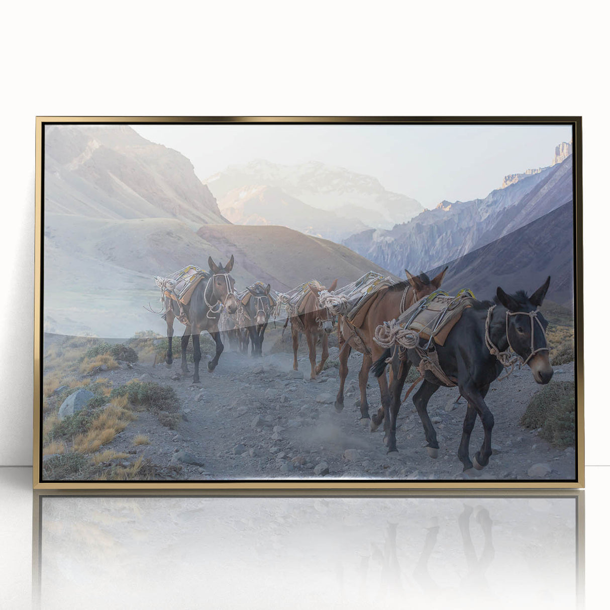 Framed acrylic wall art of a donkey design showcasing vibrant colors and intricate details, perfect for animal lovers and home decor enthusiasts. This striking piece features a gold frame, enhancing its visual appeal and making it an ideal addition to modern or eclectic interiors.