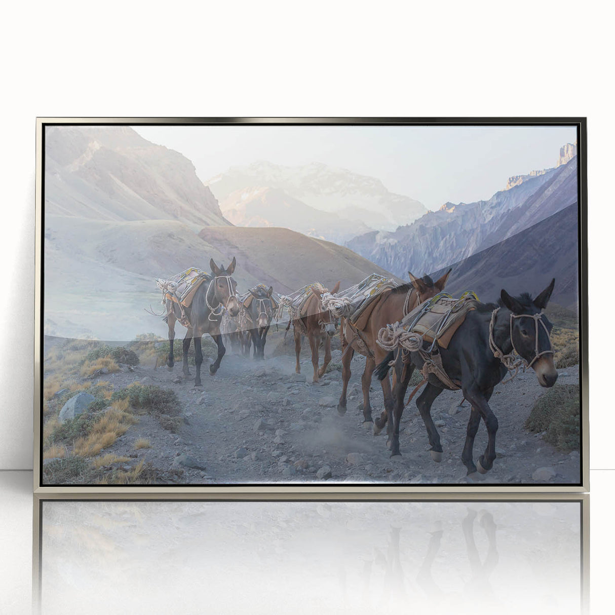 Framed wall art featuring a striking donkey design in a silver-acrylic finish, showcasing intricate details against a minimalist background, perfect for animal lovers.
