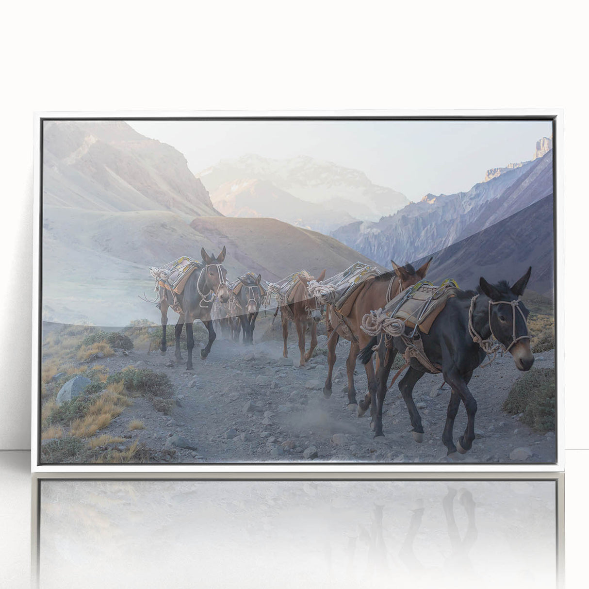 Framed wall art featuring a whimsical donkey design in a vibrant color palette, showcasing intricate details and a modern white frame, perfect for animal lovers.
