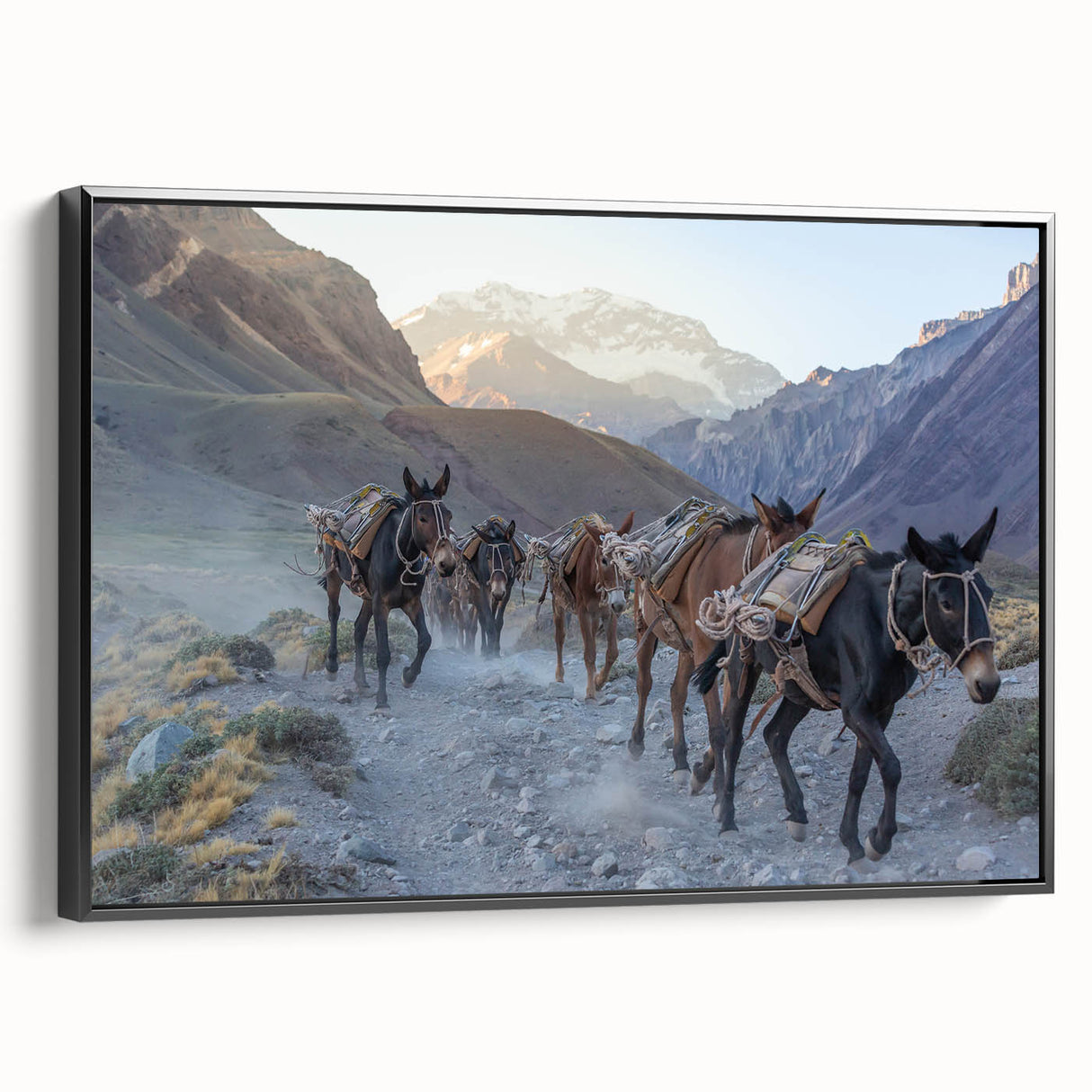 Framed wall art of a donkey design from a wildlife collection, showcasing intricate details and a black frame, perfect for animal lovers and home decor enthusiasts.
