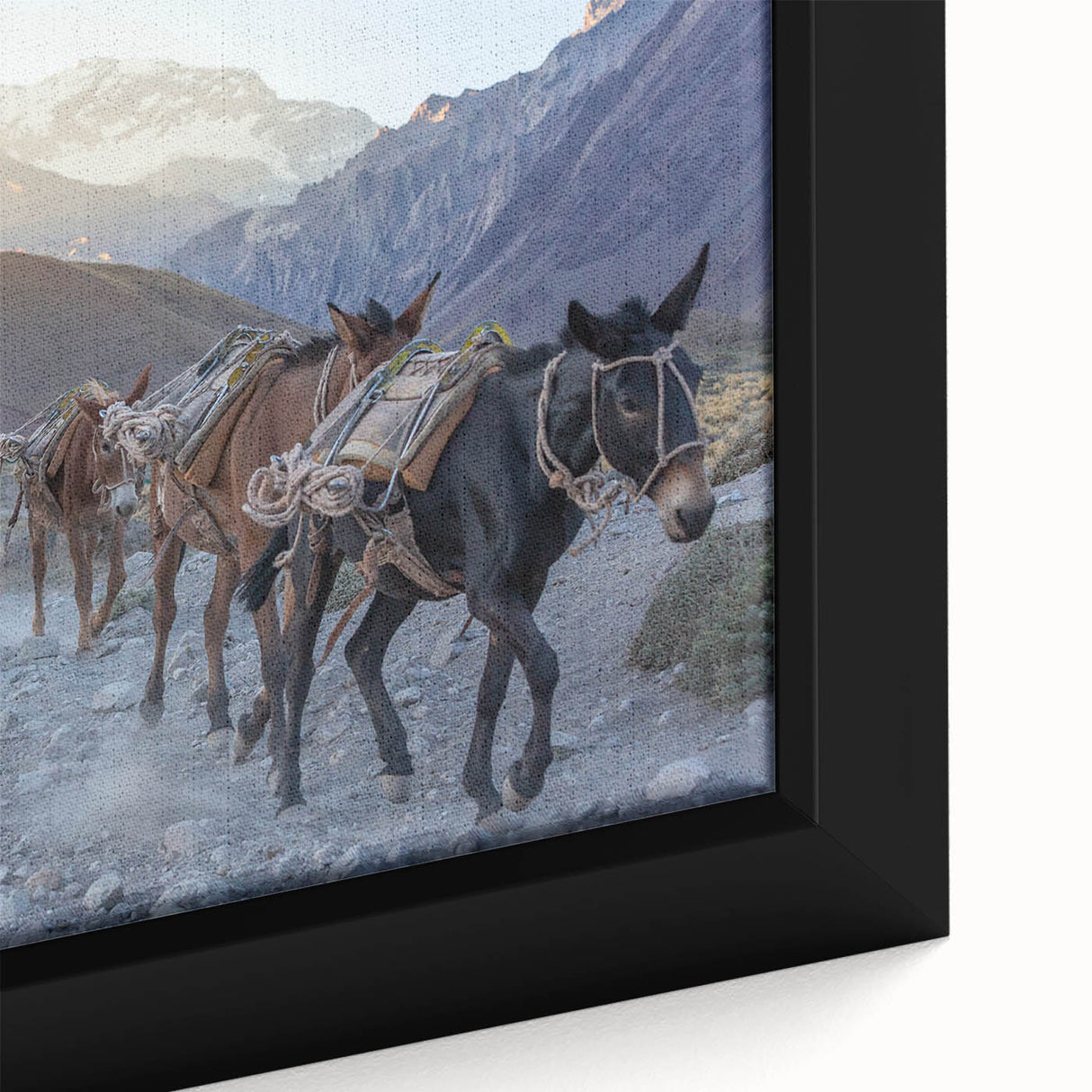 Close-up of a framed donkey wall art piece showcasing intricate details of the animal's fur and expressive eyes, set against a vibrant background. Perfect for animal lovers and home decor enthusiasts.