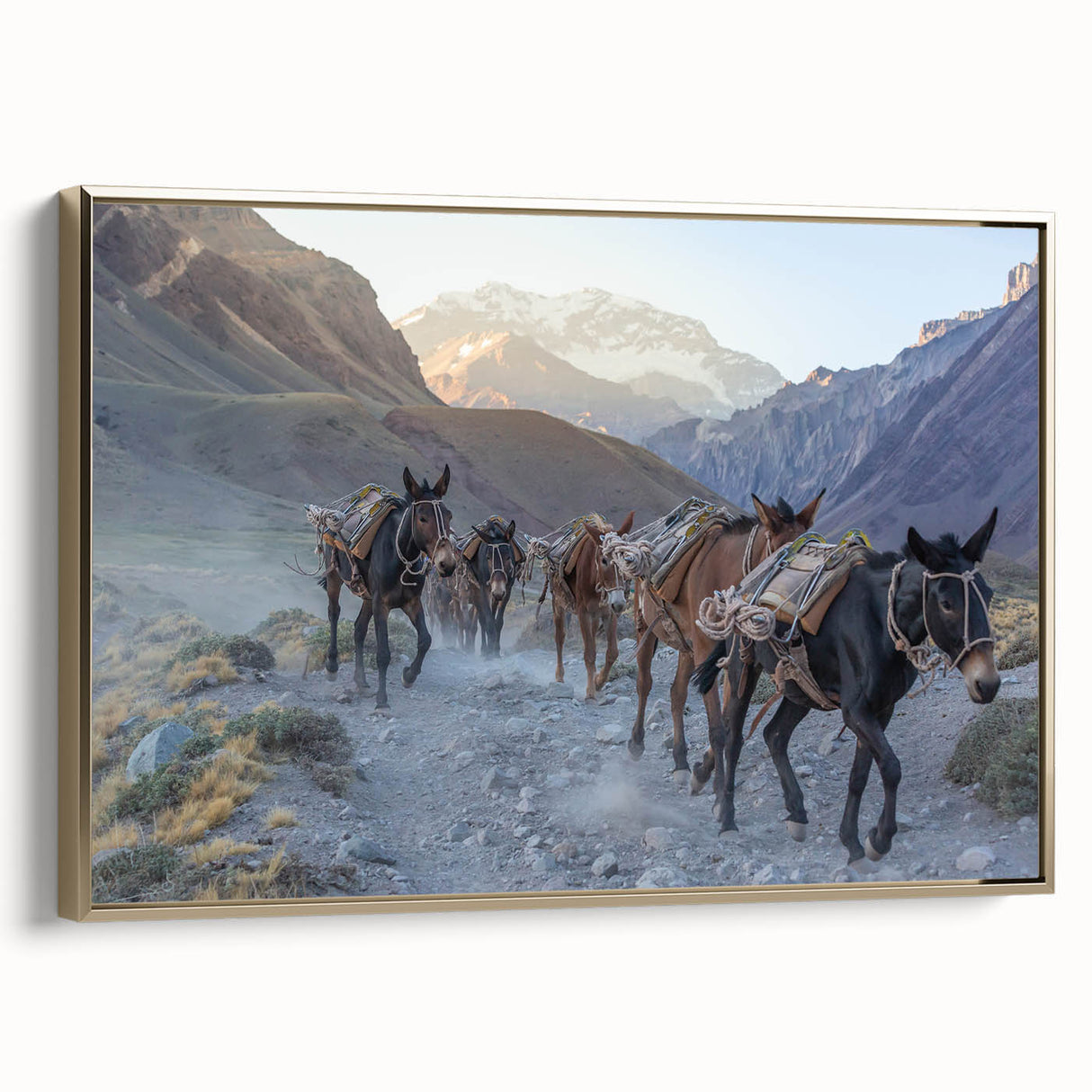 Framed wall art showcasing a gold-accented donkey design in a side view, perfect for animal-themed decor. Ideal for adding a touch of elegance to any room.