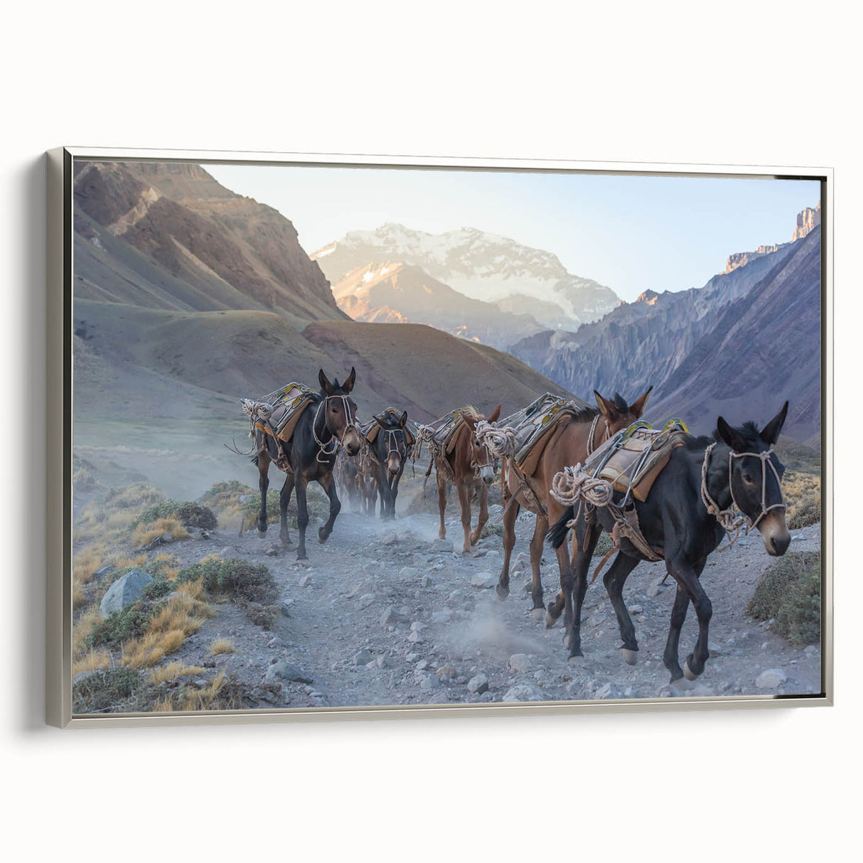 Framed wall art featuring a silver donkey design from the "Animals A Wild Life" collection, showcasing detailed textures and vibrant colors, perfect for home decor.
