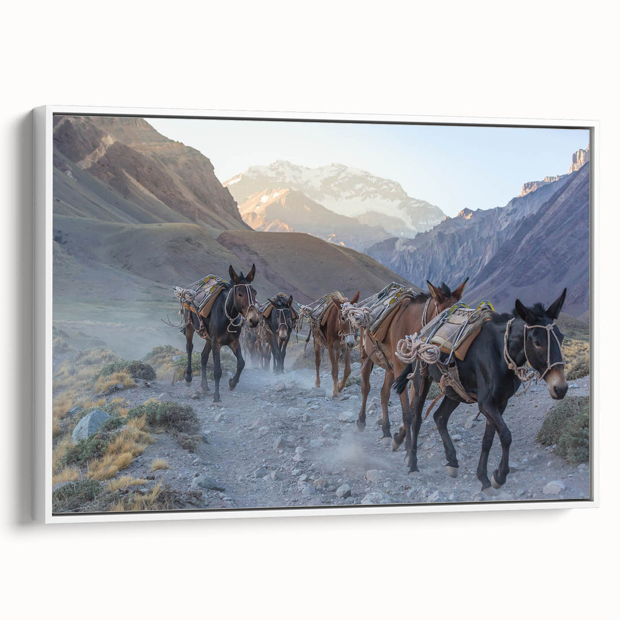 Framed wall art featuring a side view of a donkey design in a minimalist style, against a white background, perfect for animal lovers and modern decor enthusiasts.