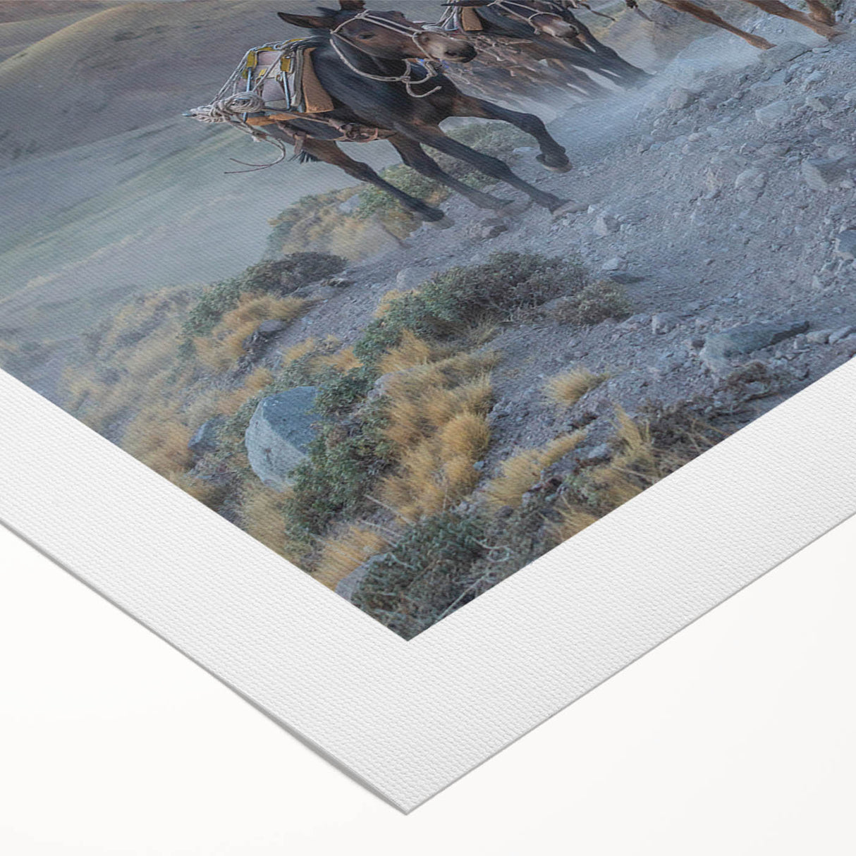 Rolled canvas wall art featuring a vibrant donkey design, showcasing intricate details and rich colors. Ideal for animal lovers and home décor enthusiasts.