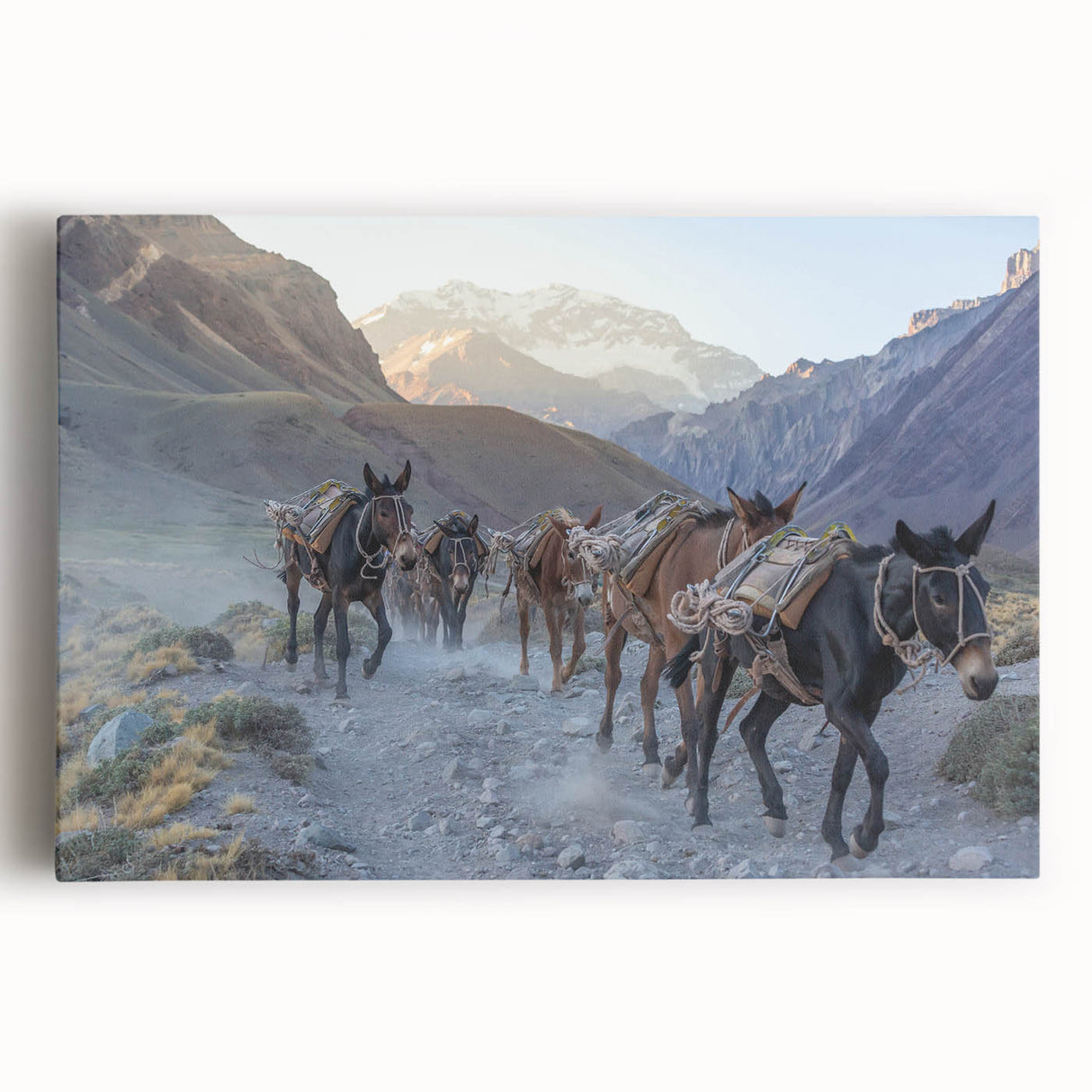 Stretched canvas wall art featuring a whimsical donkey design, showcasing vibrant colors and intricate details, perfect for animal lovers and home decor enthusiasts.