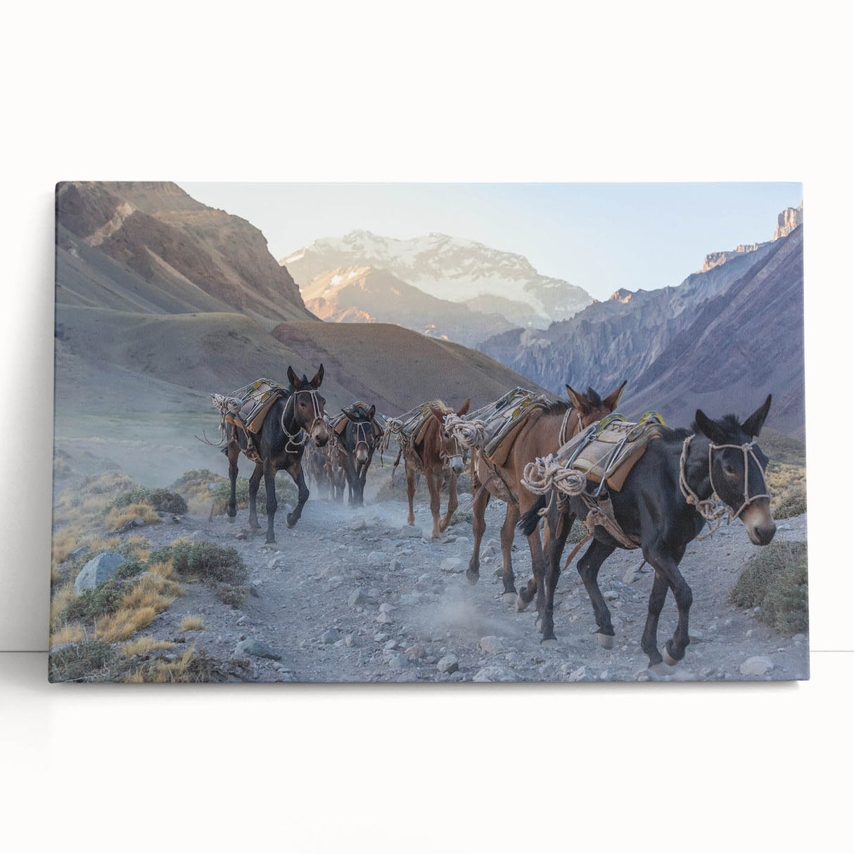 Stretched canvas wall art featuring a whimsical donkey design, showcasing vibrant colors and playful details, perfect for adding charm to any room decor.