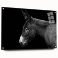 Side view of a donkey wall art piece from the "Animals: A Wild Life" collection, featuring vibrant colors on acrylic glass, complemented by decorative pins.